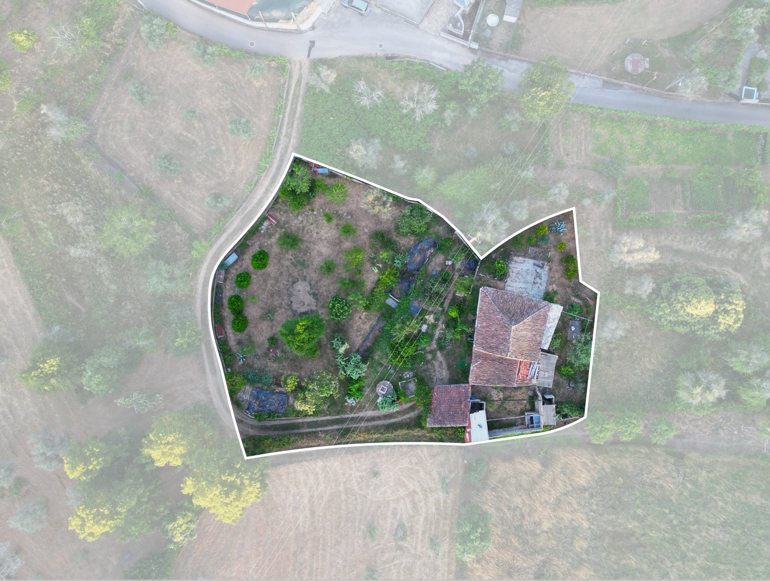 Casal de Abade plot aerial view
