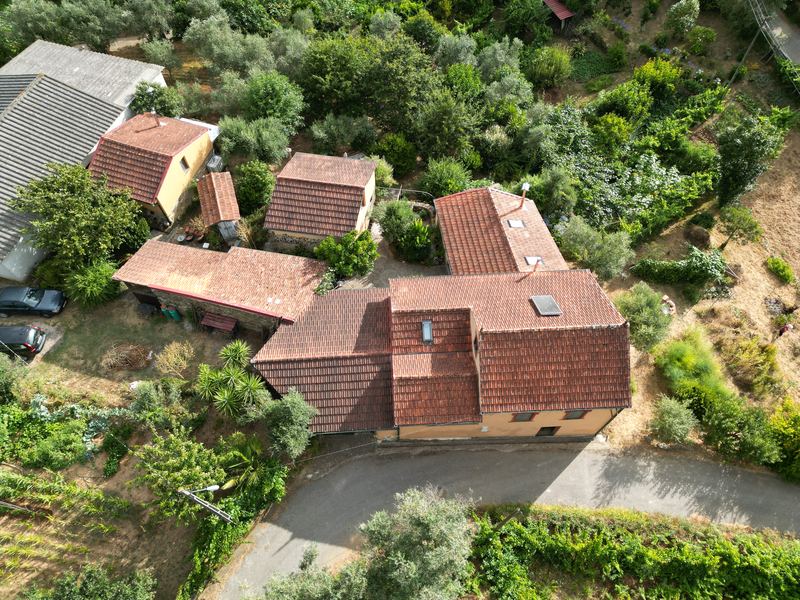 Aerial view of the full homestead