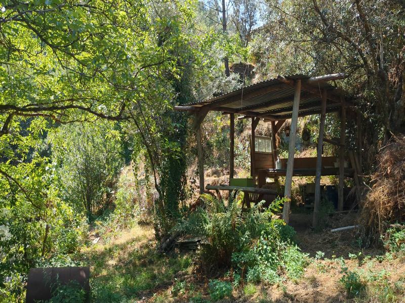 Magic Valley Farm outdoor shelter