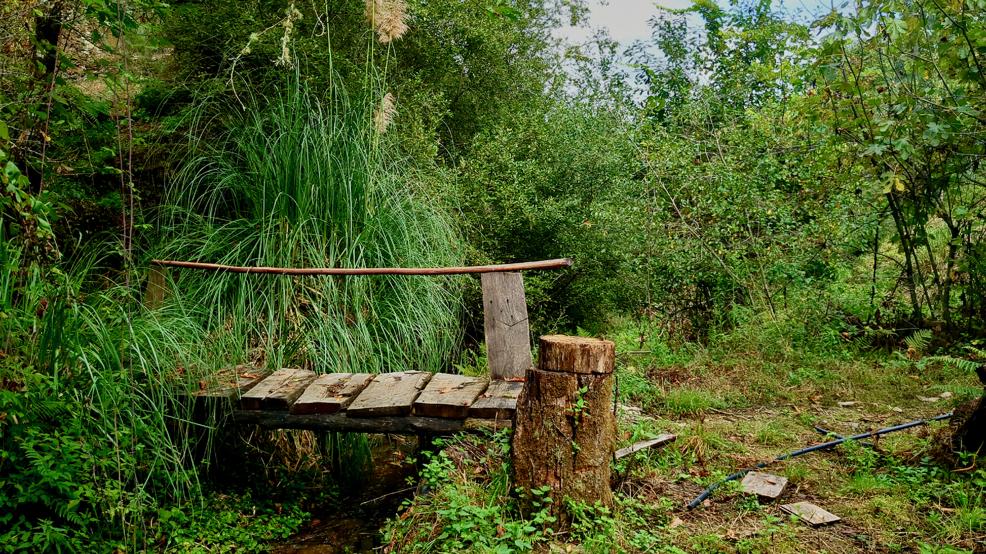 Rustic wooden bridge over stream